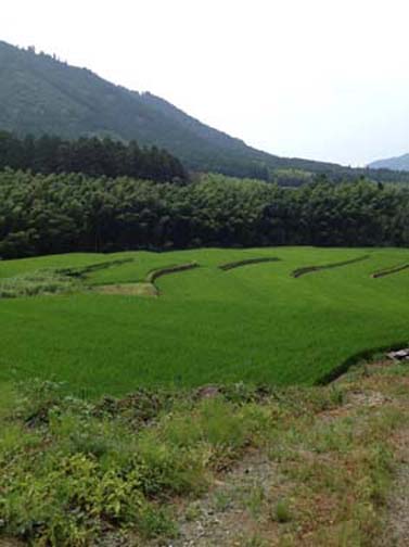 熊本の里山2.jpg